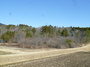 １P1090465.JPG
